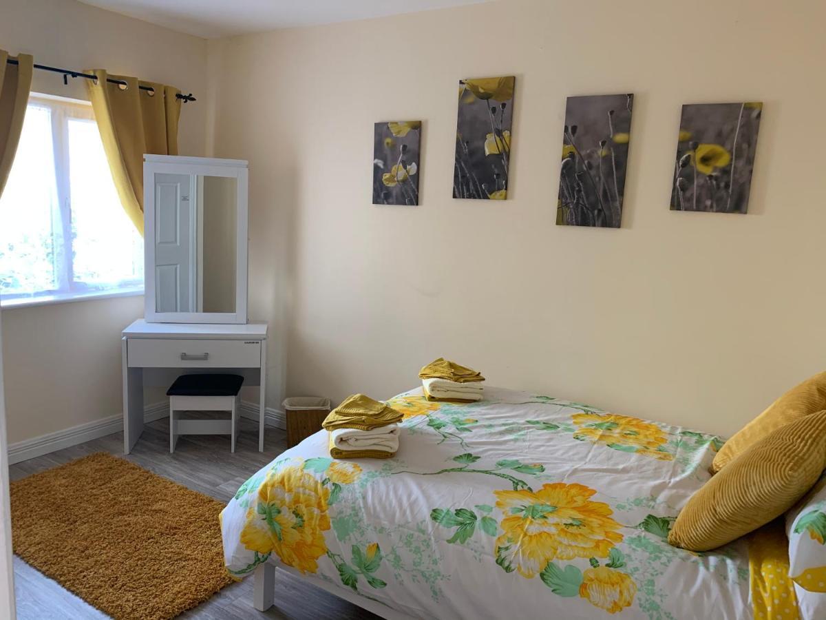 Mayfield House Holiday Home バリンローブ エクステリア 写真